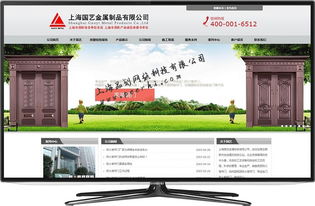 專(zhuān)業(yè)網(wǎng)絡(luò)技術(shù)服務(wù) 松江網(wǎng)站建設(shè)、制作與設(shè)計(jì)解決方案